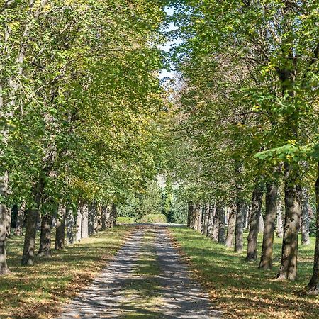 Chateau Du Chambon Cerzat Ngoại thất bức ảnh